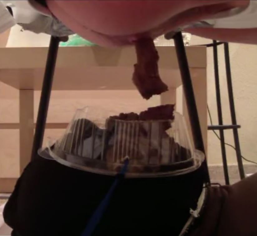 Toilet POV of Party Girl Shitting On Her Slave’s Face