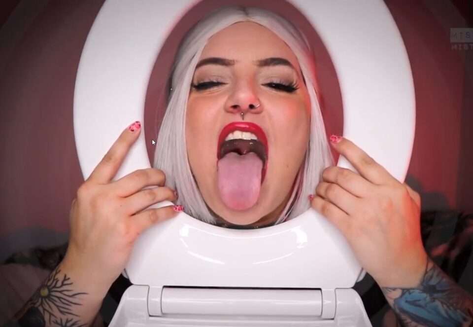 Reprogramming of a Toilet Slave