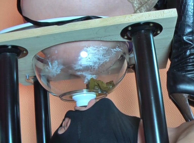 The Right Way to Feed a Human Toilet Slave