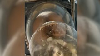Femdom pissing POV