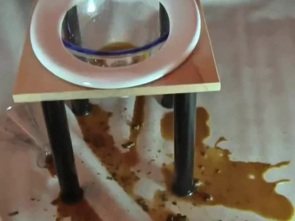 Real Toilet Has to Clean Up Shit after Spilling